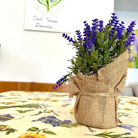 مينتون Casa Vacanze Lavanda المظهر الخارجي الصورة