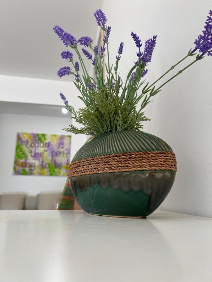 مينتون Casa Vacanze Lavanda المظهر الخارجي الصورة
